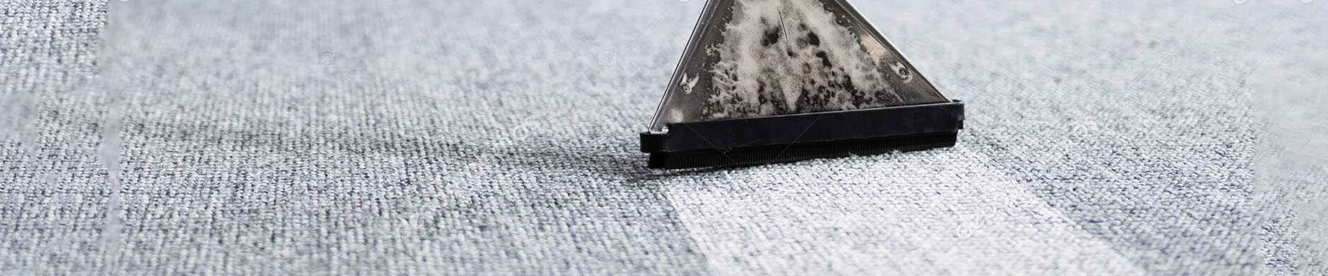 What a Professional Carpet Cleaning Actually Includes (And What It Doesn't)