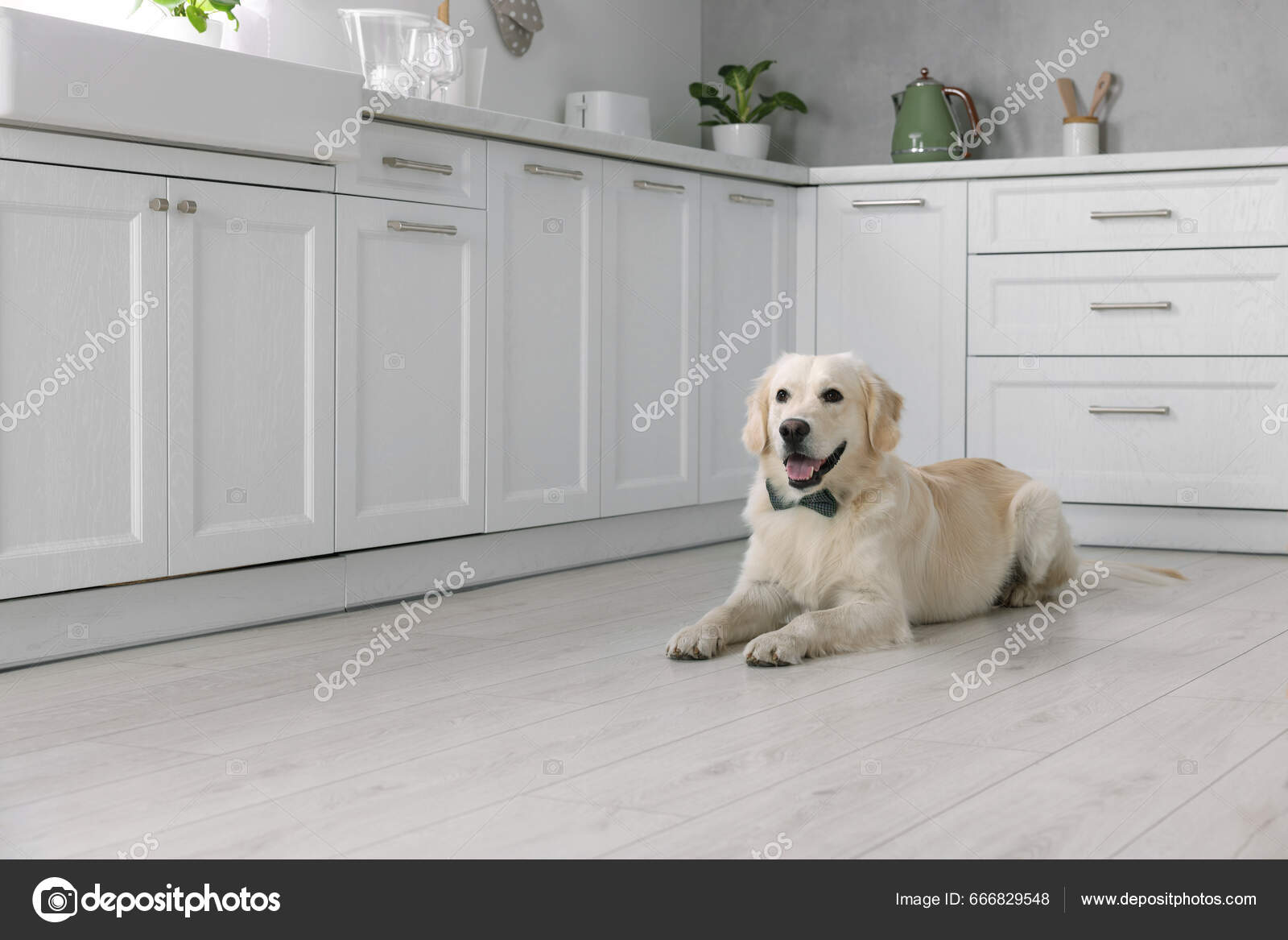 How Professional Tile and Grout Cleaning Works — And What to Expect on Service Day
